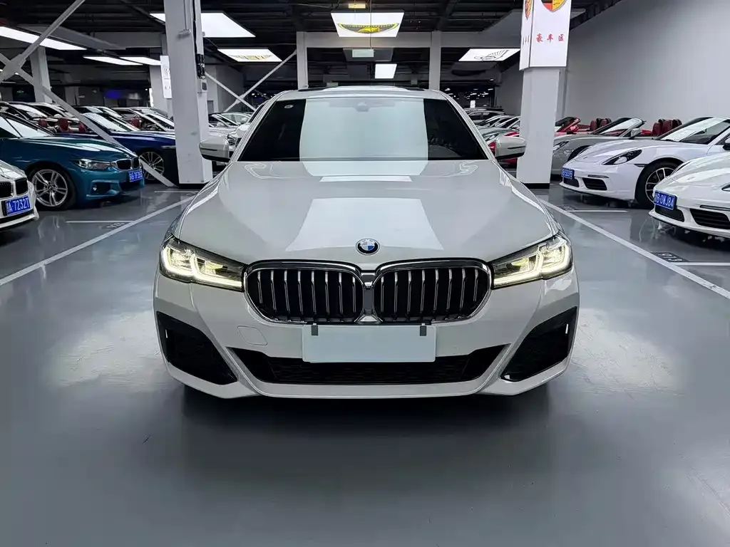 BMW 5 Series 2021 из CN, фото 7