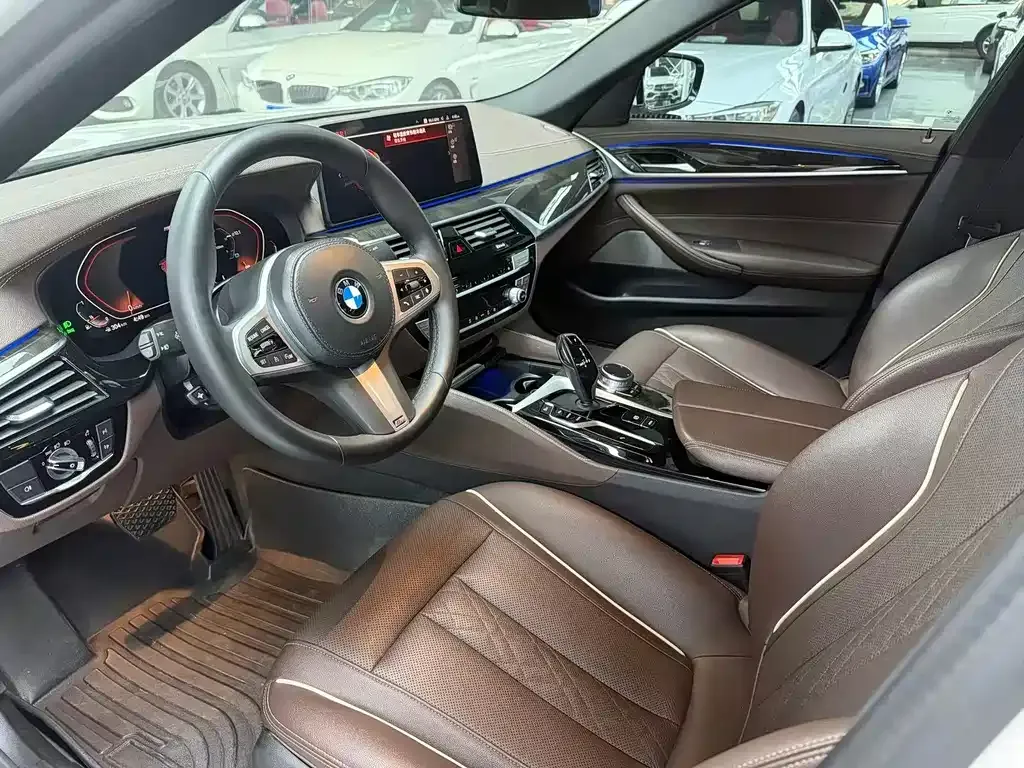 BMW 5 Series 2021 из CN, фото 6