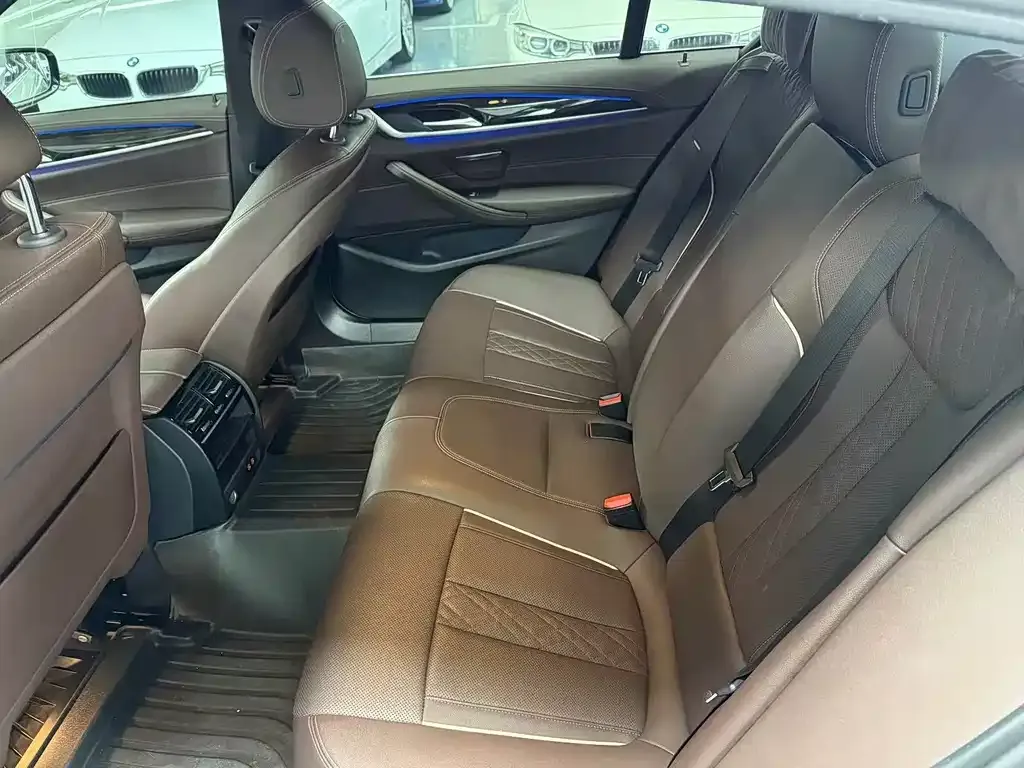 BMW 5 Series 2021 из CN, фото 9