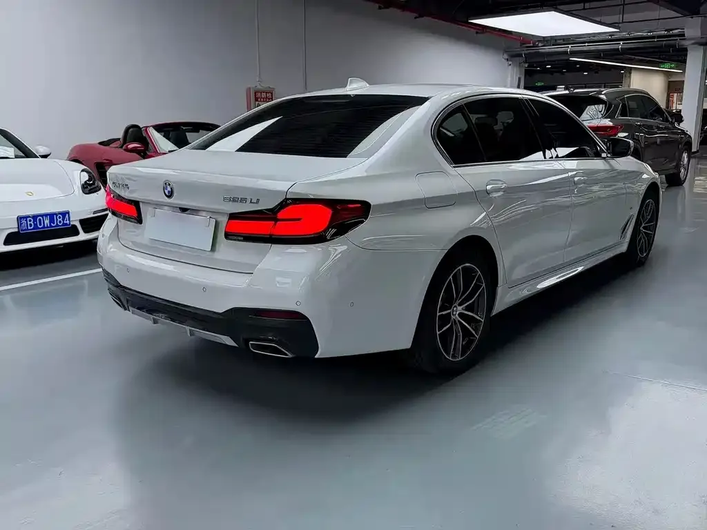 BMW 5 Series 2021 из CN, фото 8