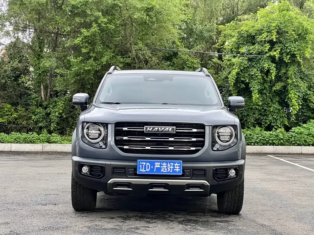 Haval Big Dog — фото 5
