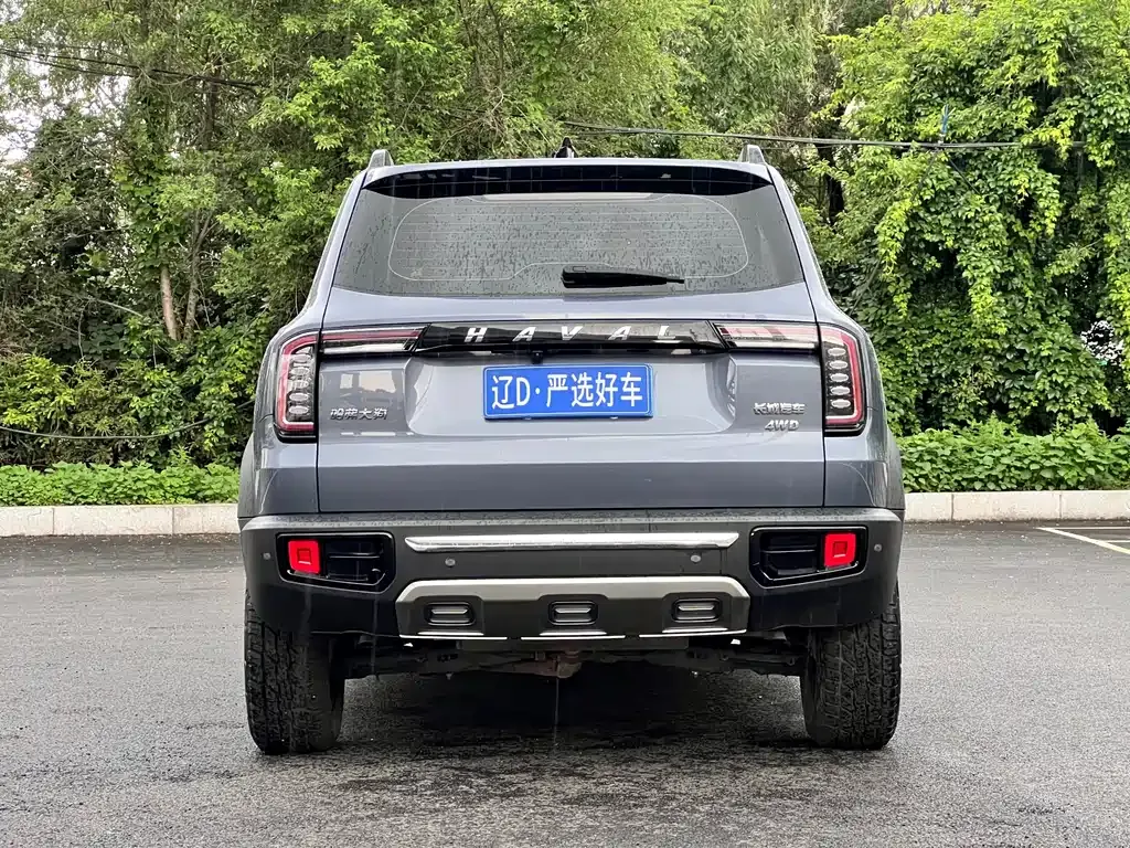 Haval Big Dog — фото 6