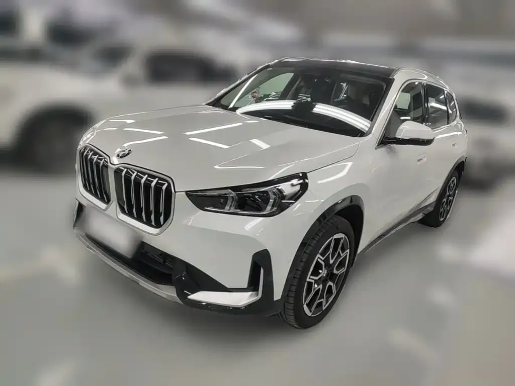BMW X1 — фото 8