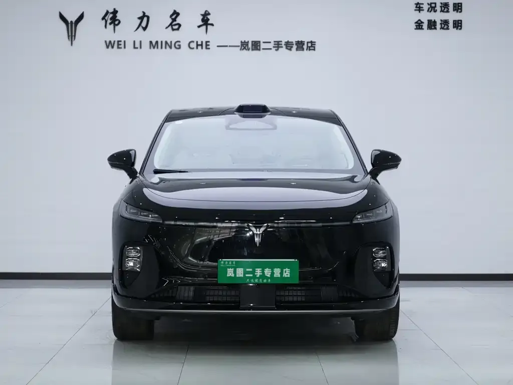 VOYAH Zhiyin 2025 из CN, фото 4