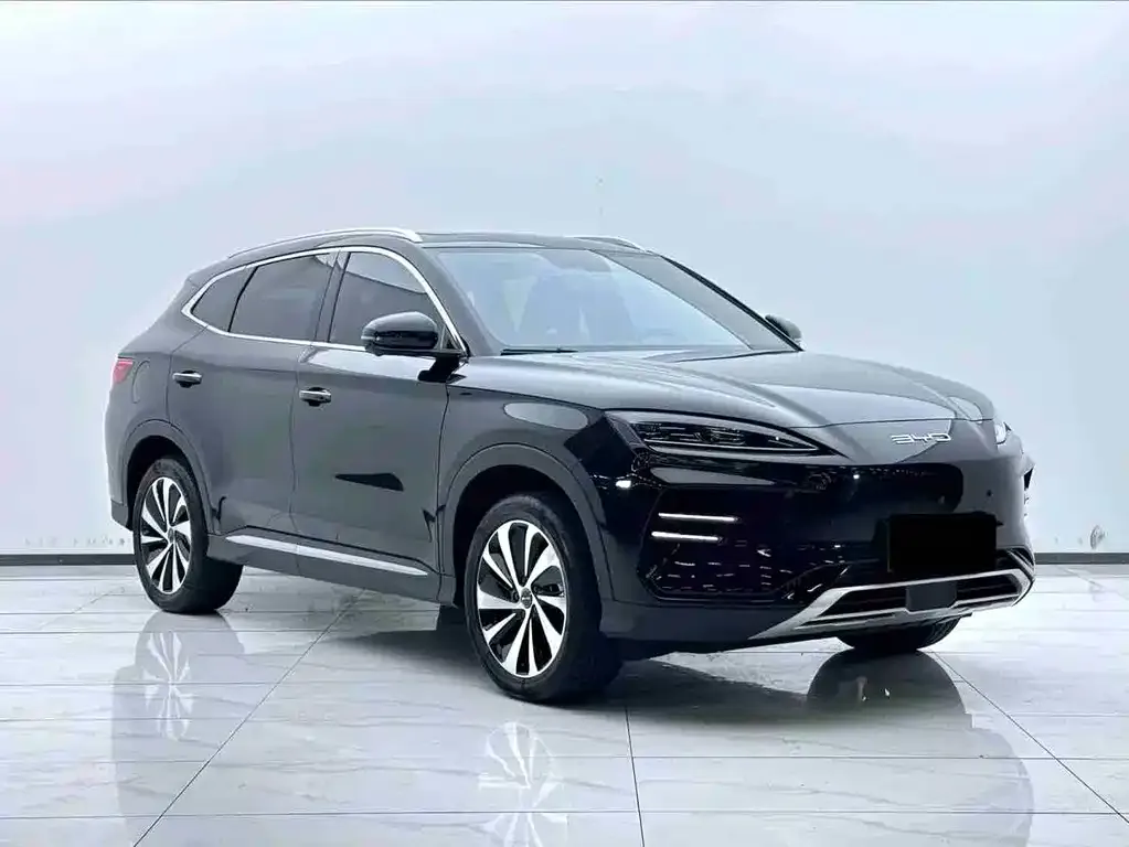 BYD PLUS New Energy — фото 3