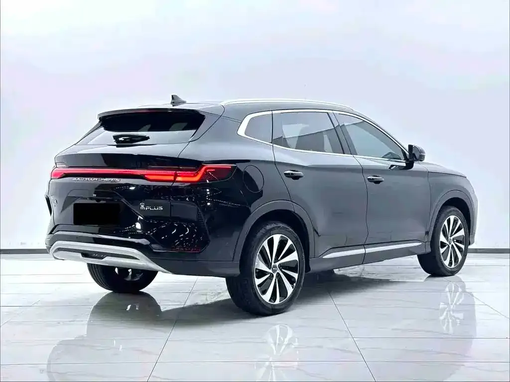 BYD PLUS New Energy — фото 6