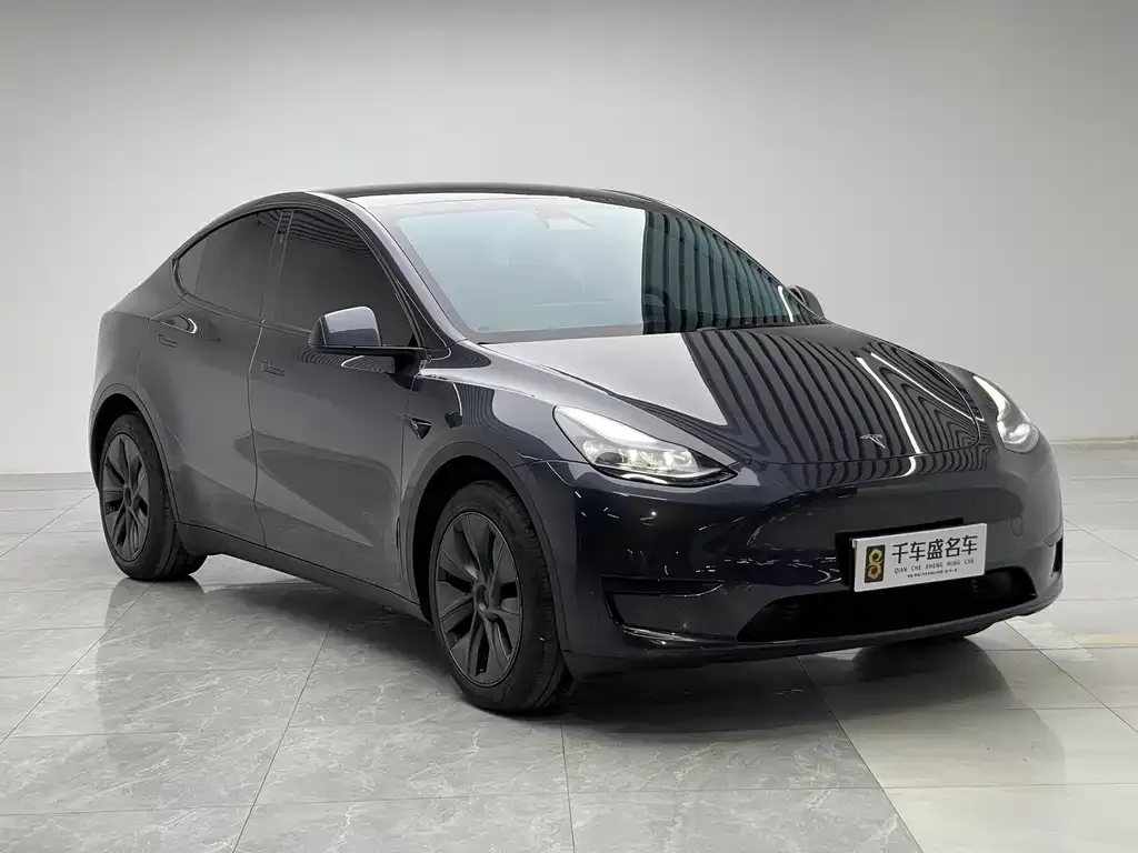 Tesla Model Y — фото 6
