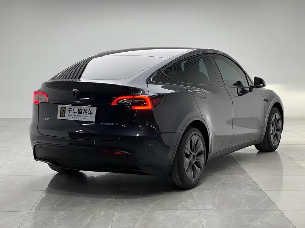 Tesla Model Y — фото 9