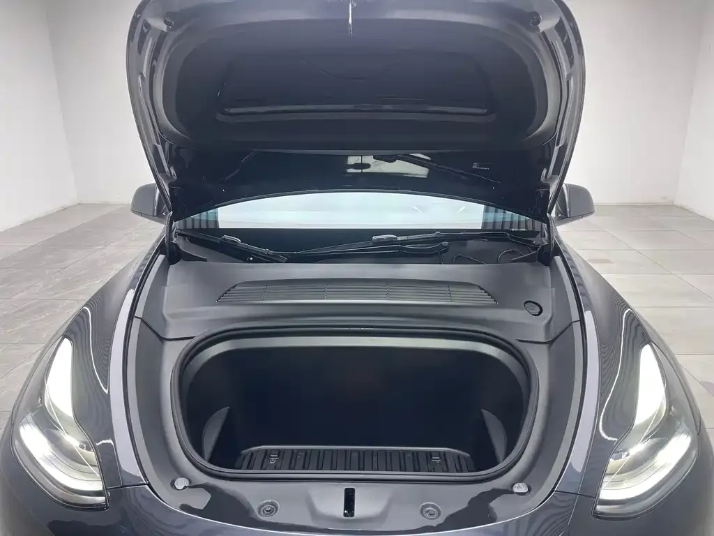 Tesla Model Y — фото 10
