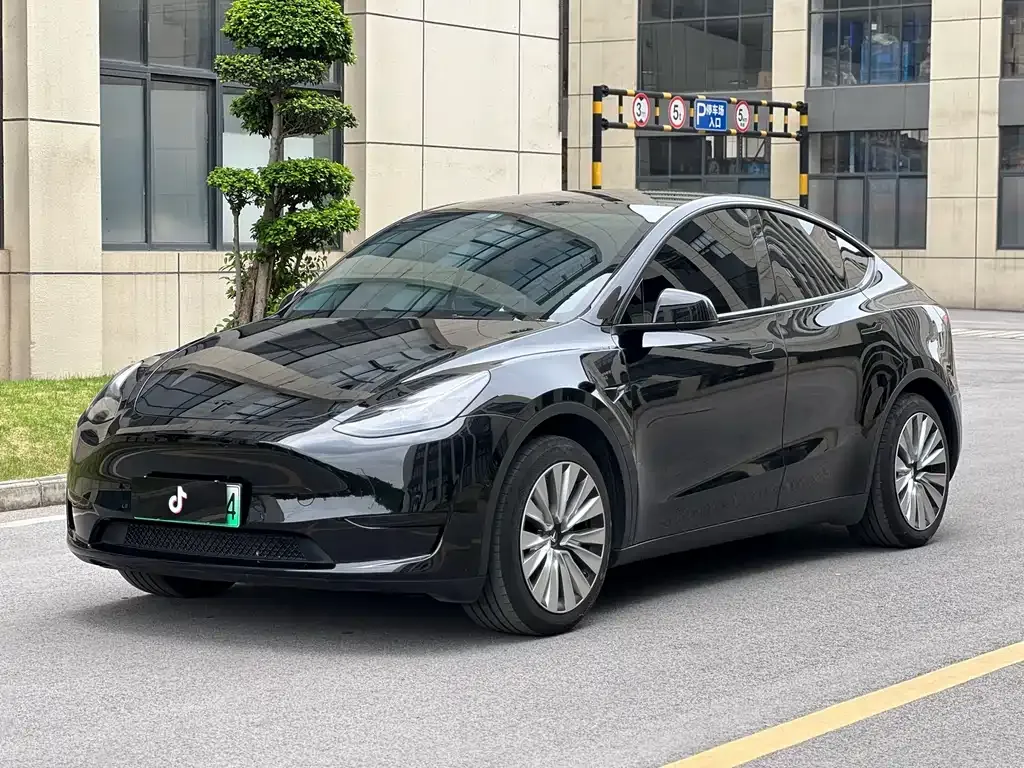 Tesla Model Y — фото 1