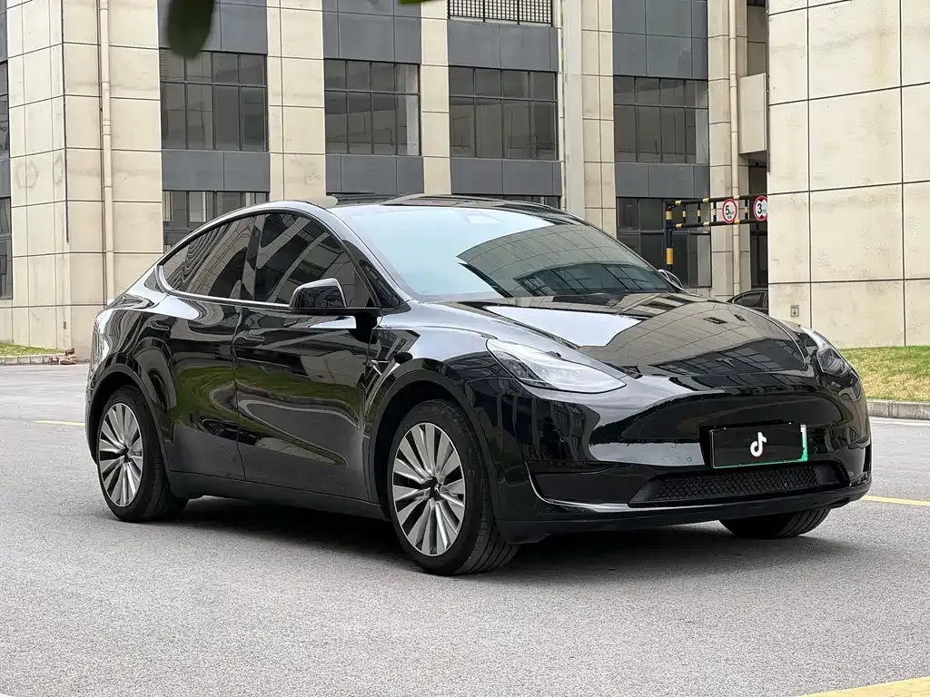 Tesla Model Y — фото 10