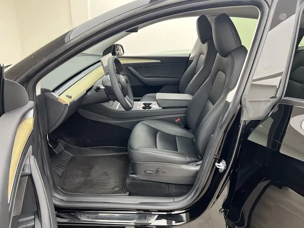 Tesla Model Y — фото 10