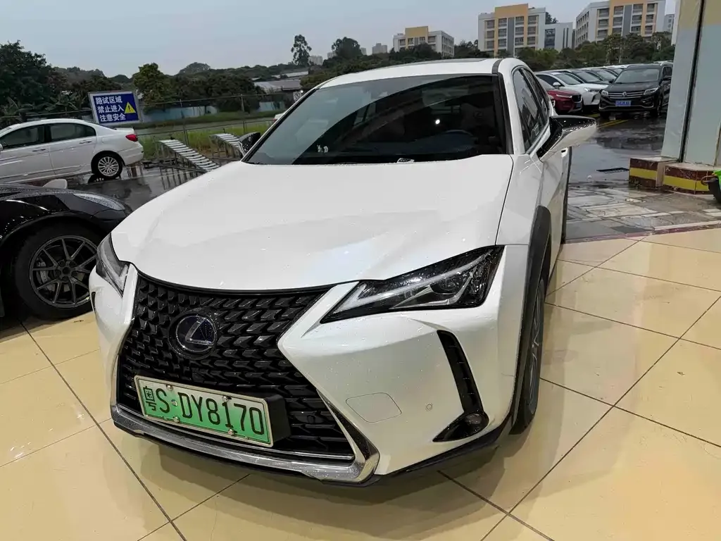 Lexus UX New Energy — фото 1