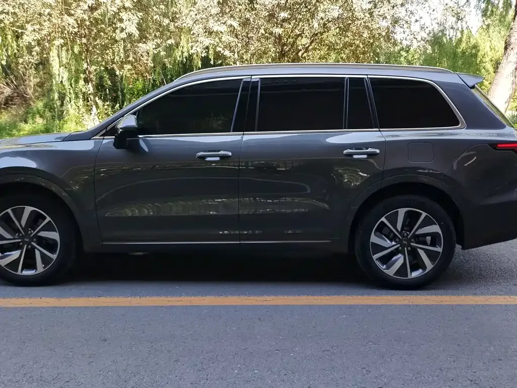Li Auto ONE 2023 из CN, фото 4