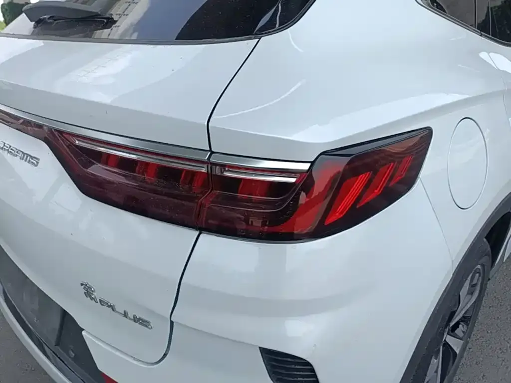 BYD PLUS New Energy — фото 2