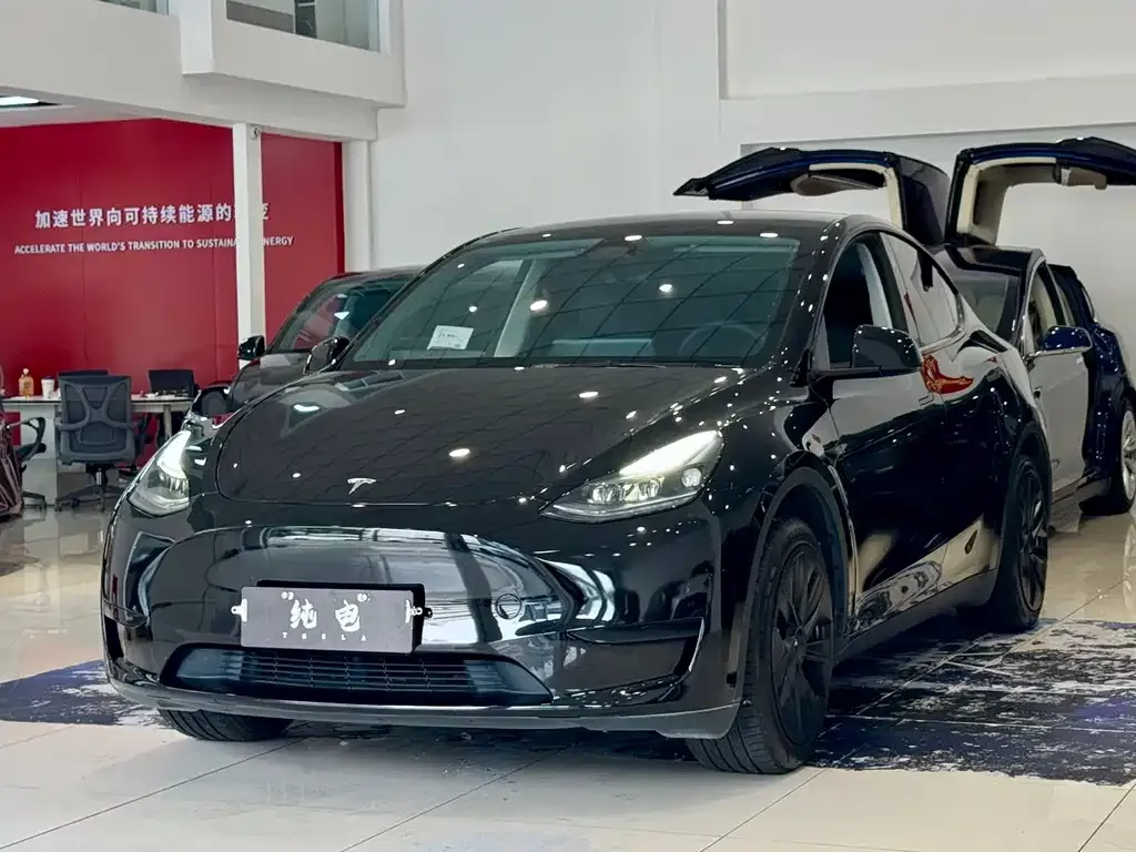 Tesla Model Y — фото 1