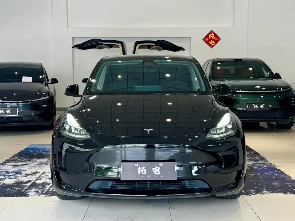 Tesla Model Y — фото 10