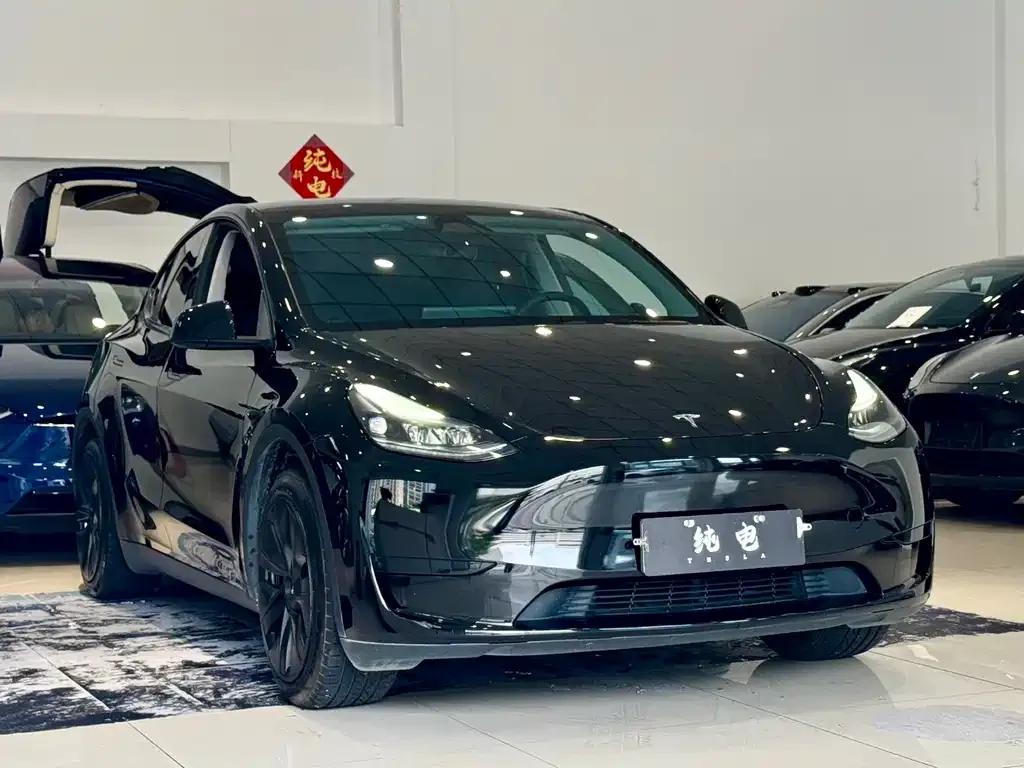 Tesla Model Y — фото 3