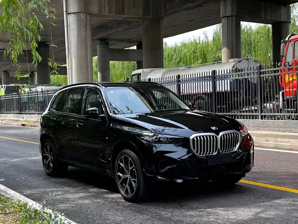 BMW X5 — фото 5