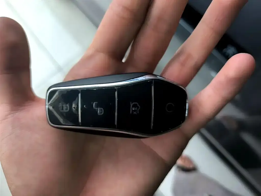 BYD L DM-i — фото 2