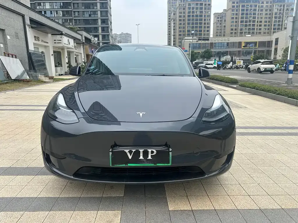Tesla Model Y — фото 1
