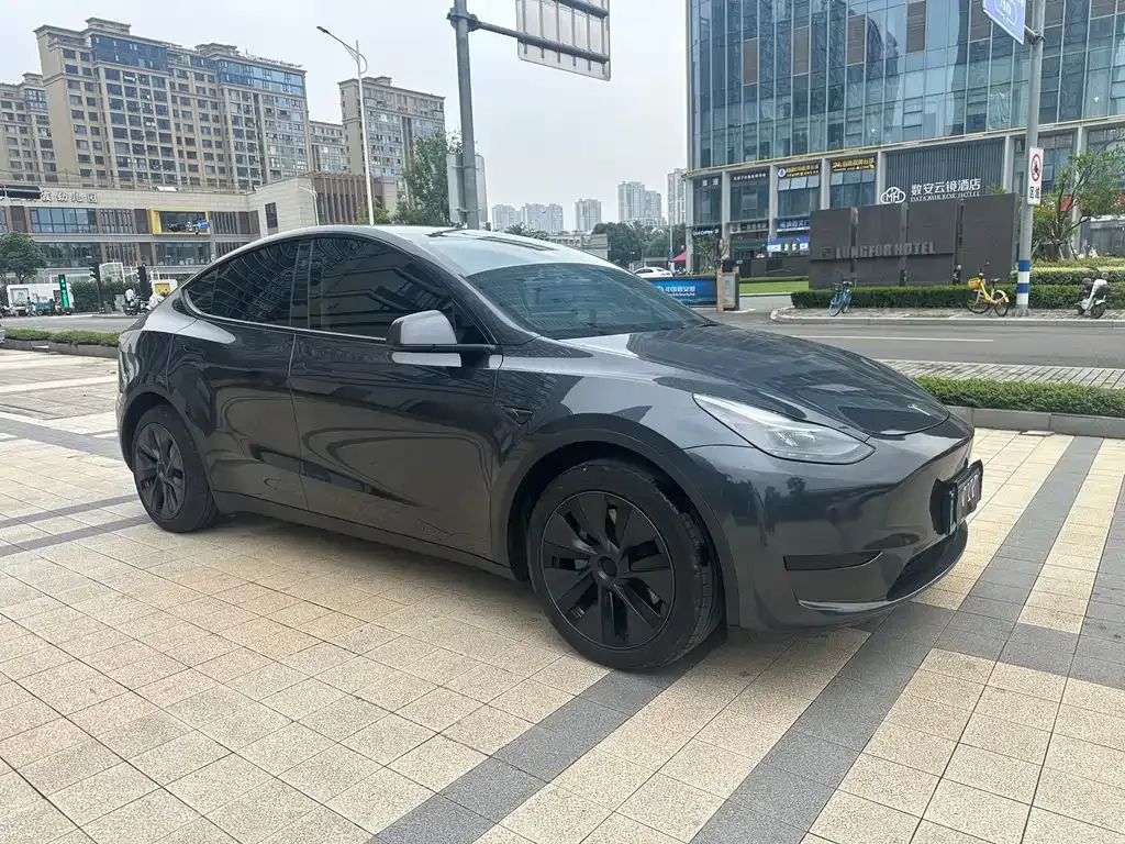 Tesla Model Y — фото 9