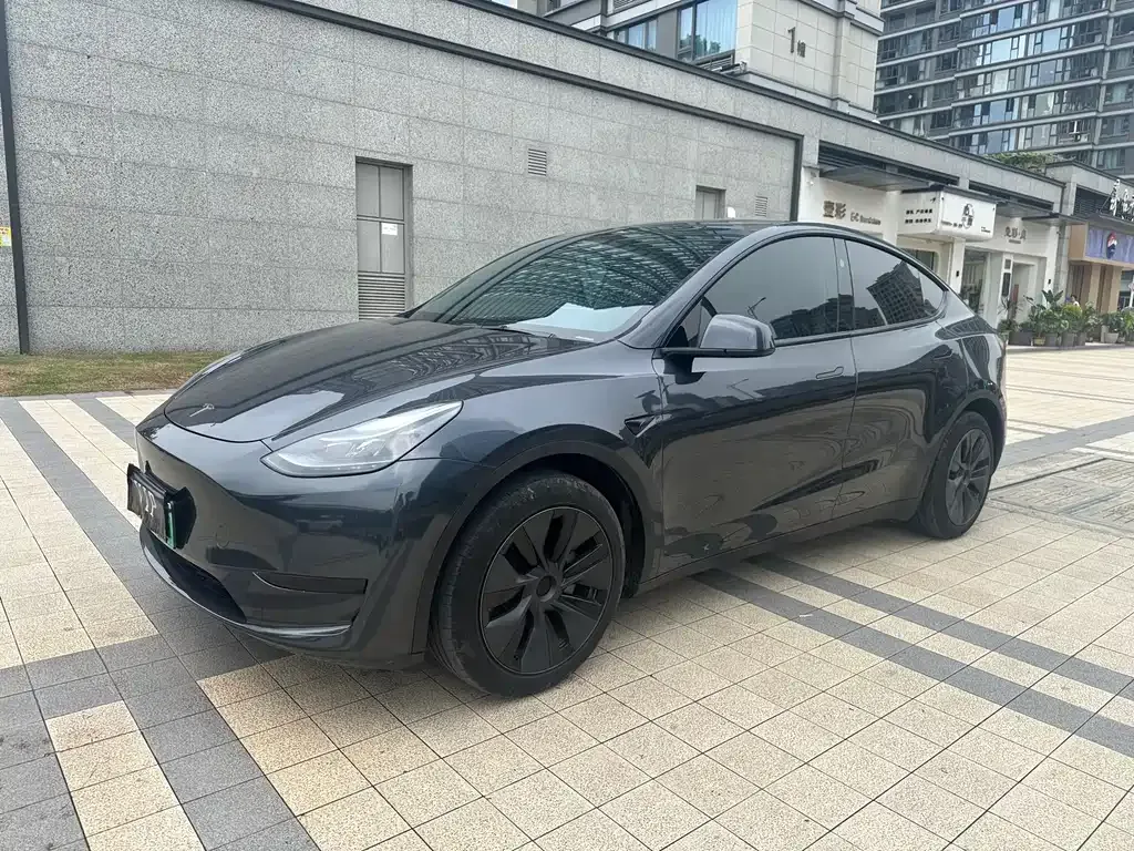 Tesla Model Y — фото 8