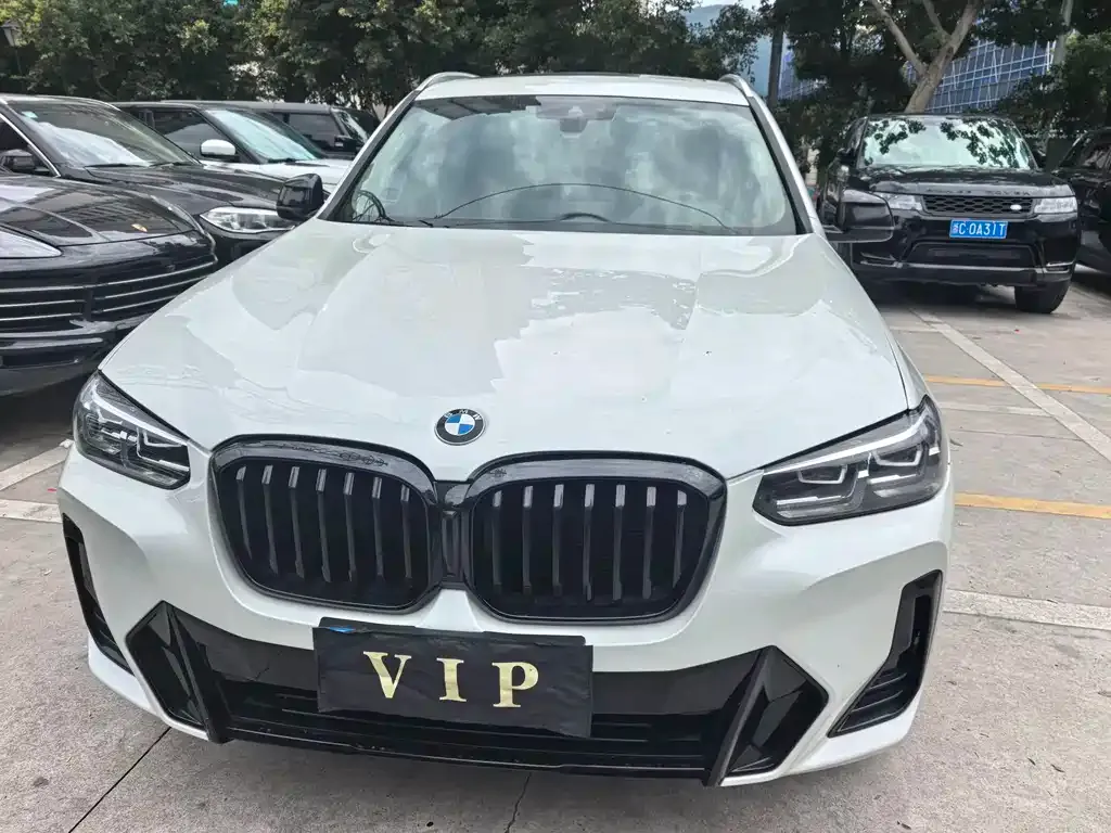 BMW X3 2022 из CN, фото 8