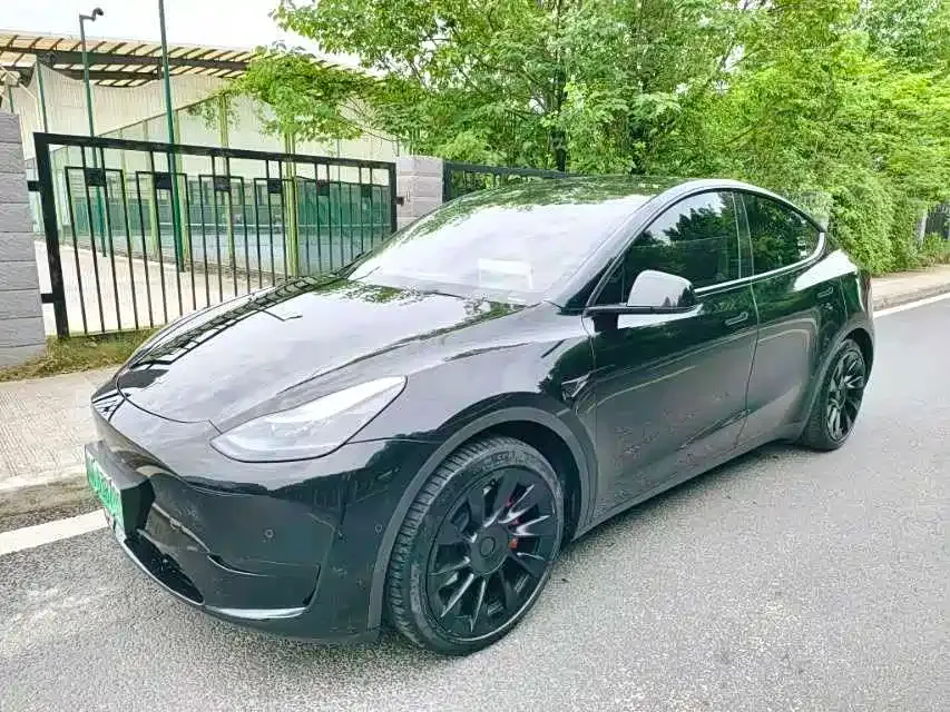 Tesla Model Y — фото 1