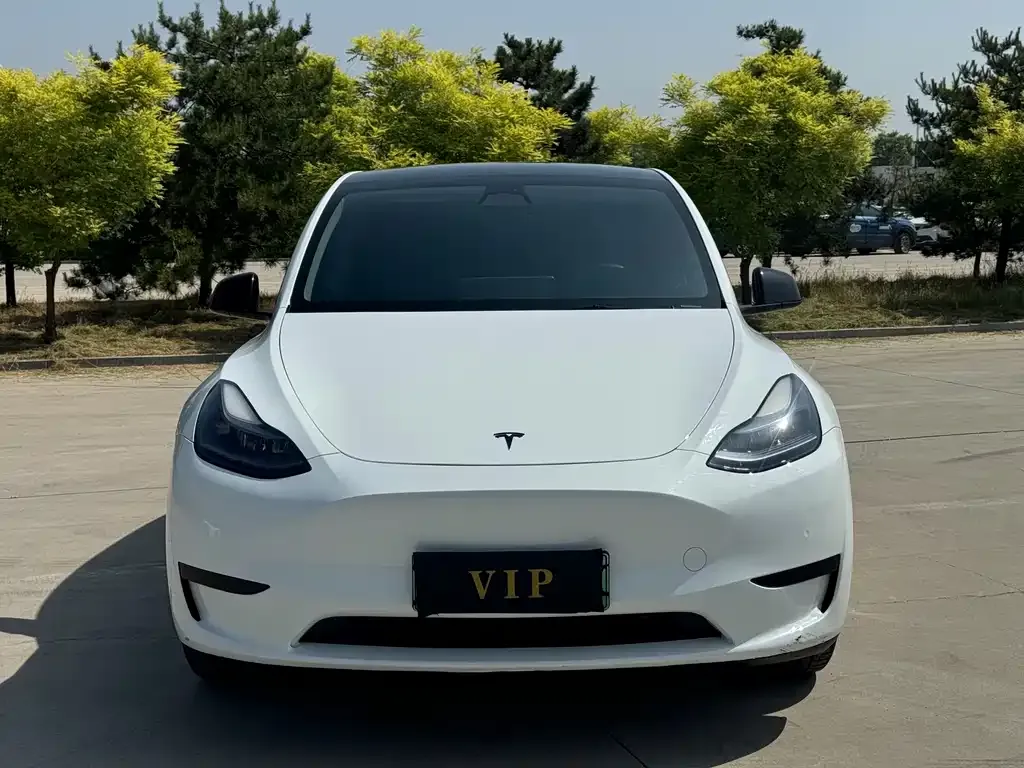 Tesla Model Y — фото 3