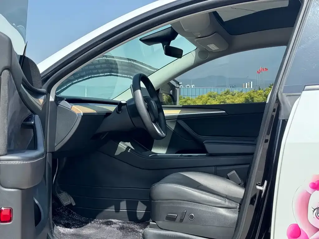 Tesla Model Y — фото 10