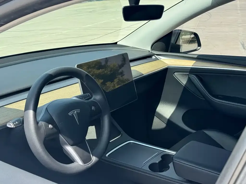 Tesla Model Y — фото 9