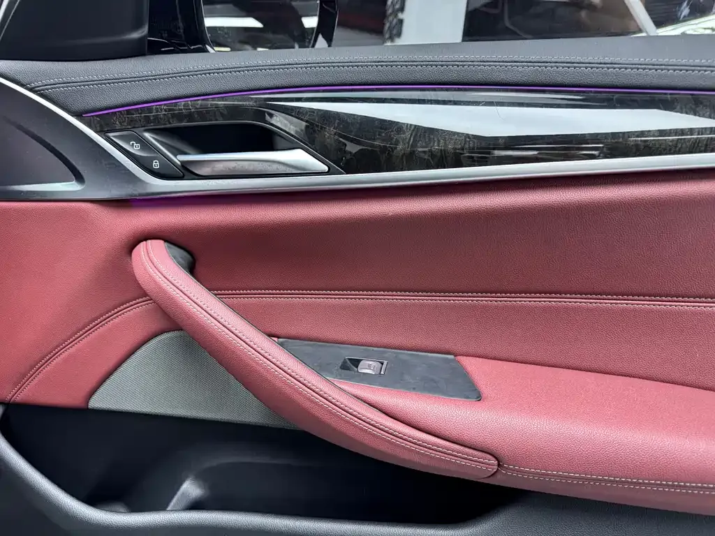 BMW 5 Series 2021 из CN, фото 10