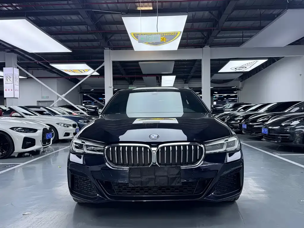 BMW 5 Series 2021 из CN, фото 5