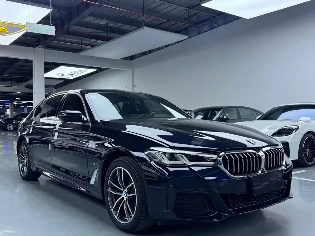 BMW 5 Series 2021 из CN, фото 2