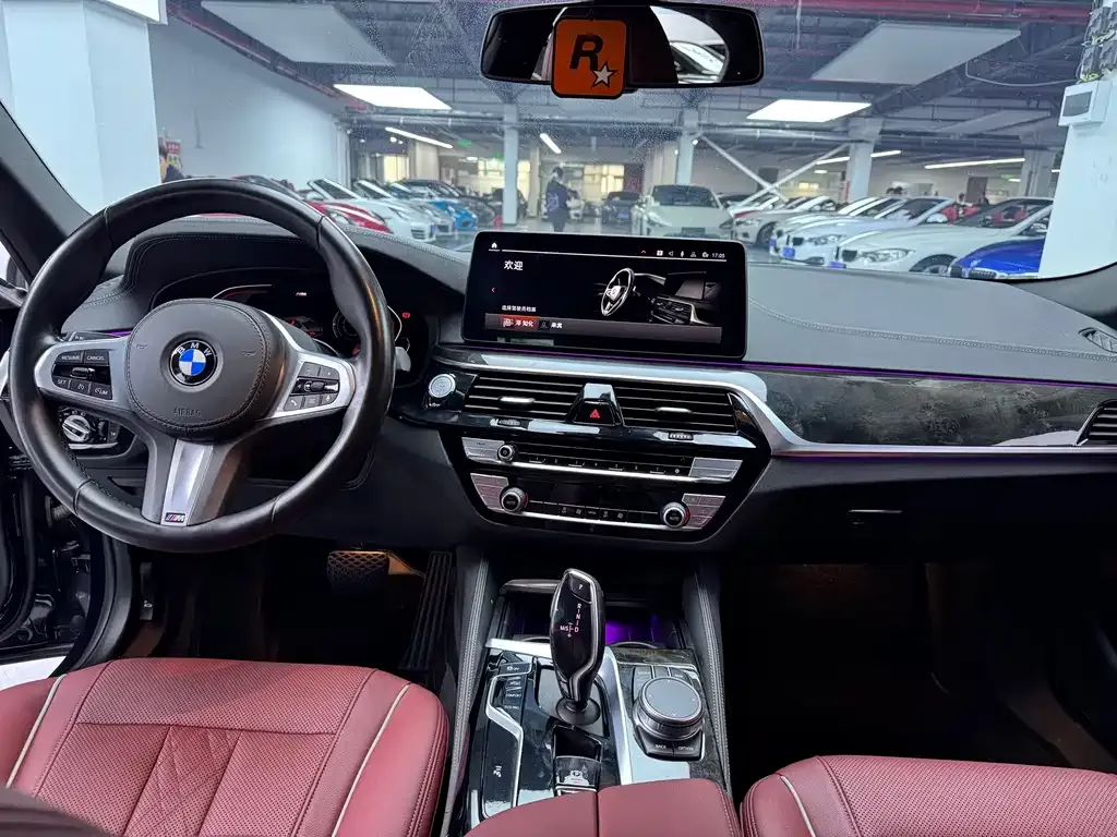 BMW 5 Series 2021 из CN, фото 9