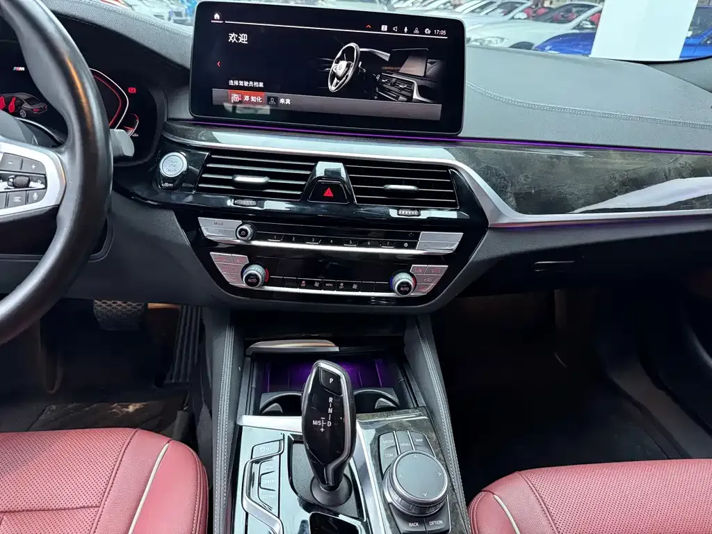 BMW 5 Series 2021 из CN, фото 4