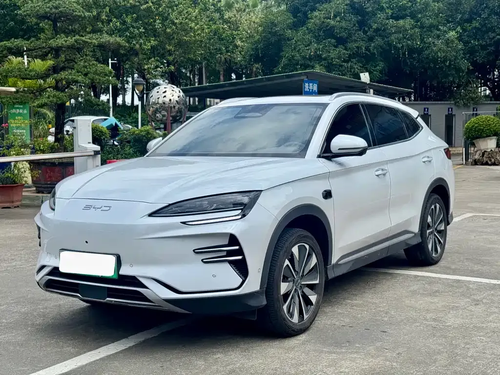 BYD PLUS New Energy — фото 1