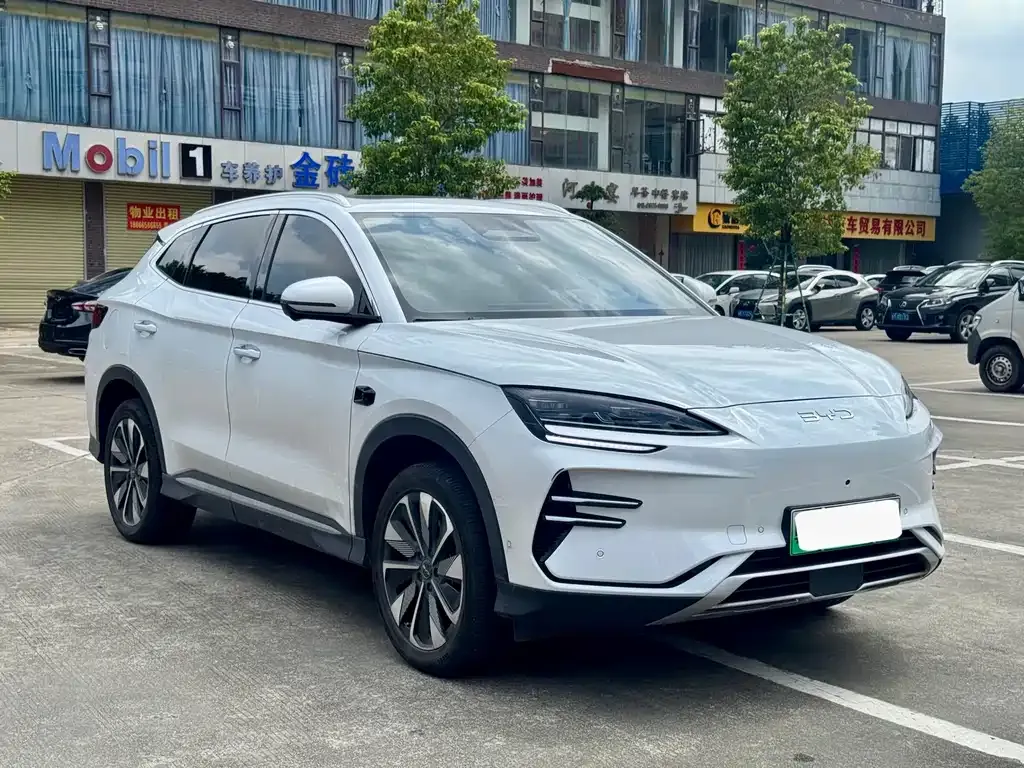 BYD PLUS New Energy — фото 8