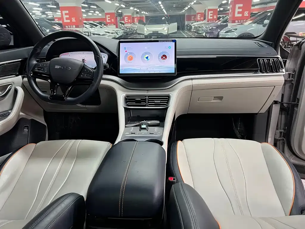 BYD PLUS New Energy — фото 8