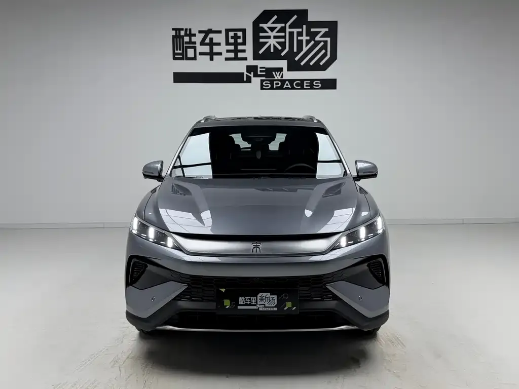 BYD Pro New Energy 2025 из CN, фото 3