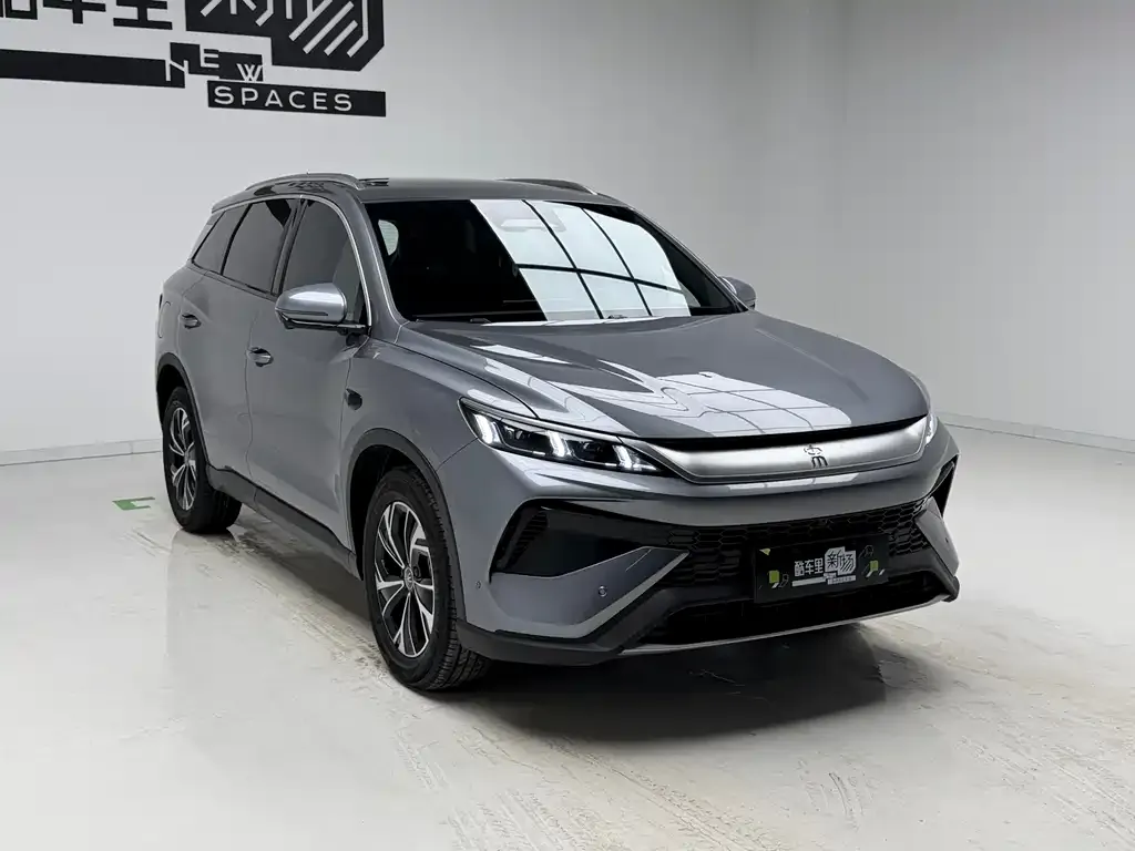 BYD Pro New Energy 2025 из CN, фото 4