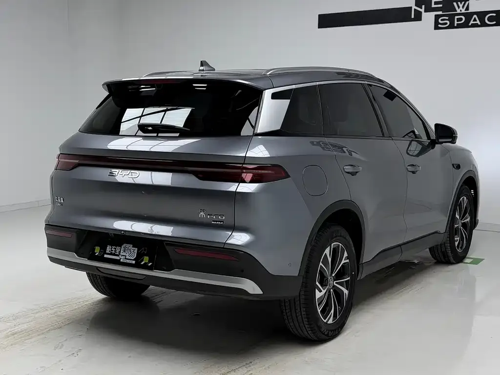 BYD Pro New Energy 2025 из CN, фото 8