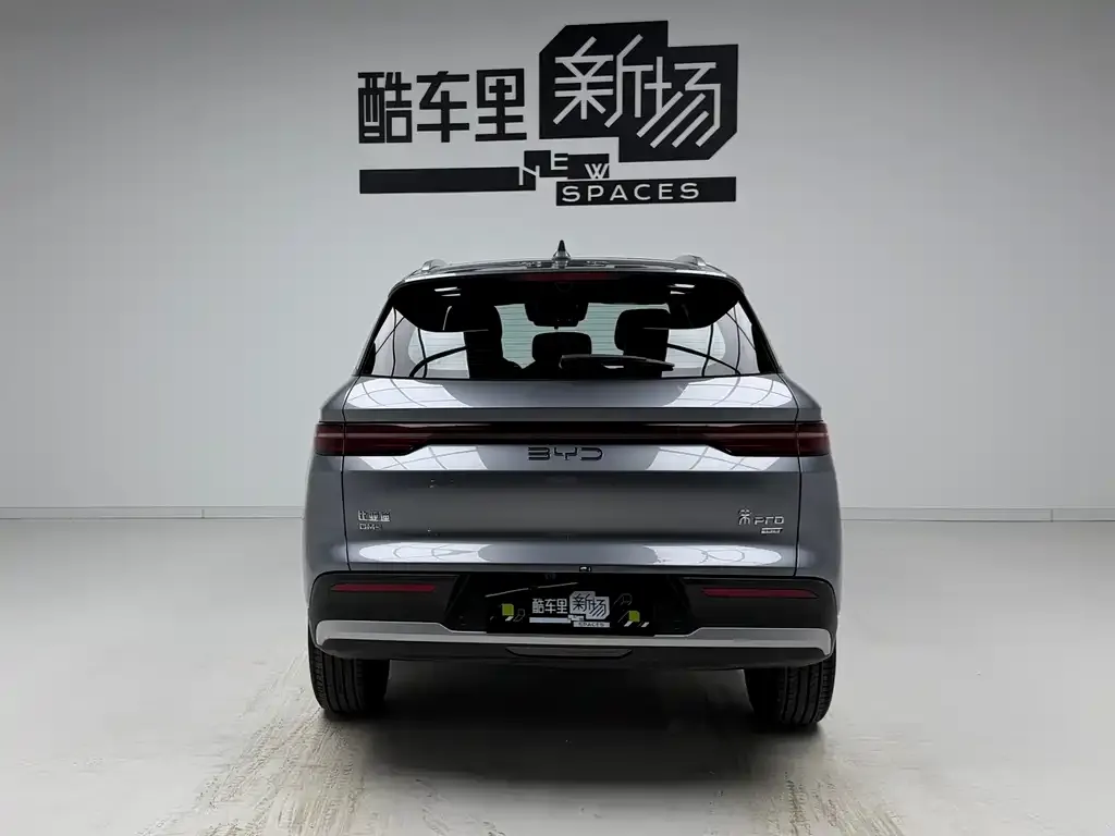 BYD Pro New Energy 2025 из CN, фото 2