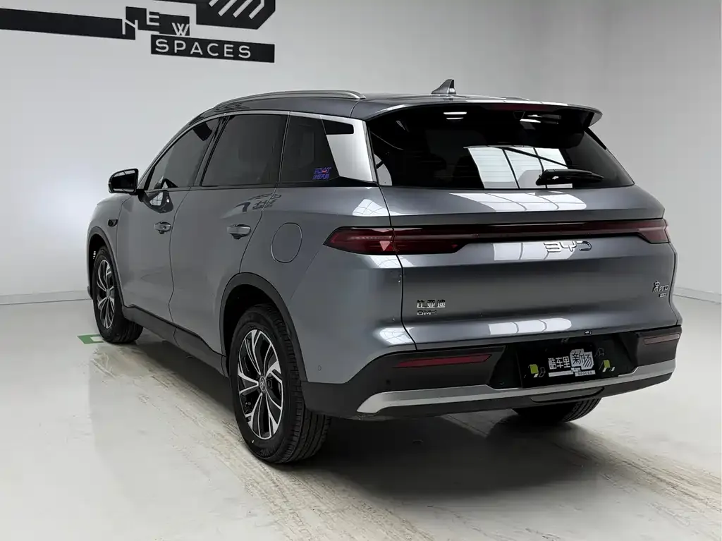 BYD Pro New Energy 2025 из CN, фото 7