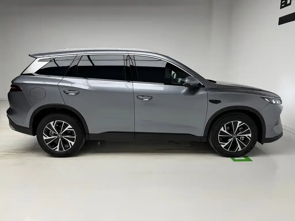 BYD Pro New Energy 2025 из CN, фото 6