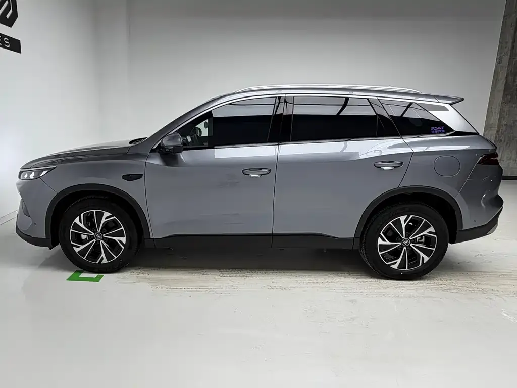 BYD Pro New Energy 2025 из CN, фото 10