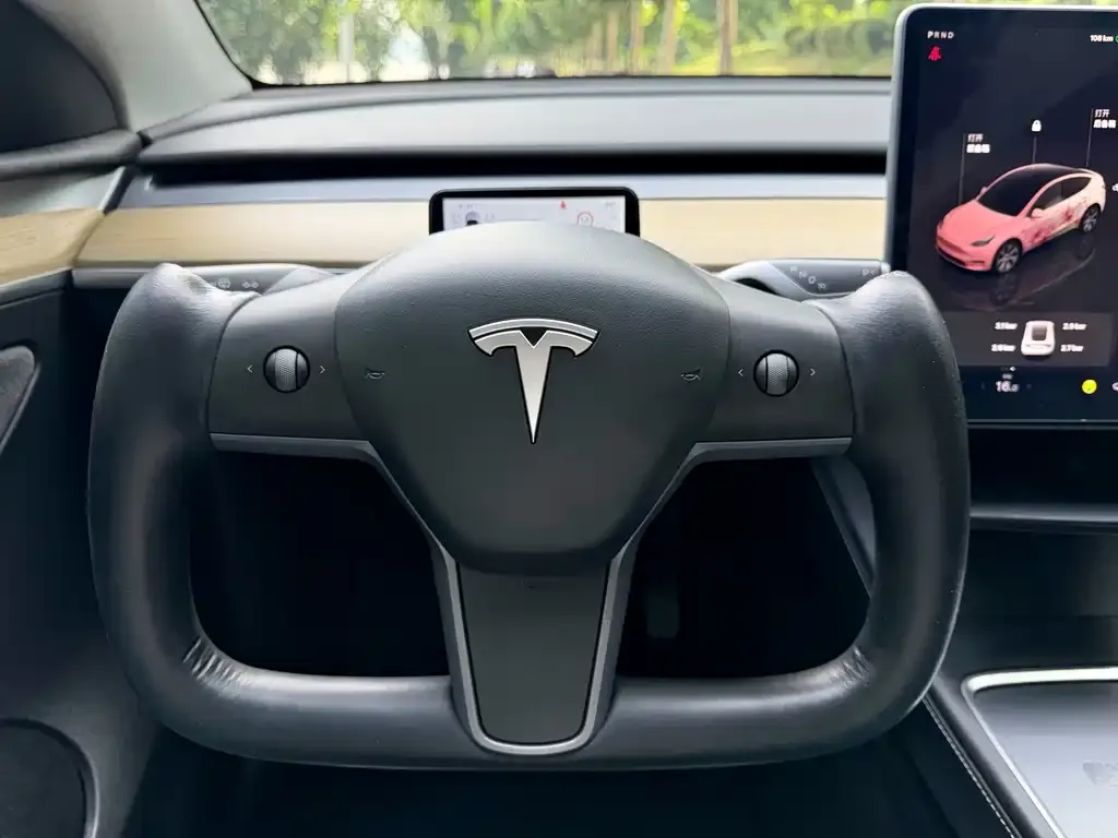 Tesla Model Y — фото 3