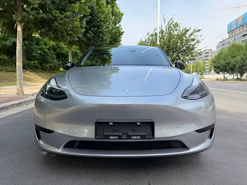 Tesla Model Y — фото 10