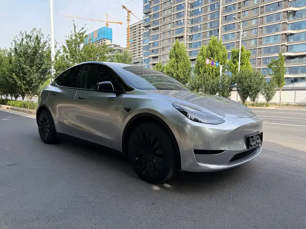 Tesla Model Y — фото 9